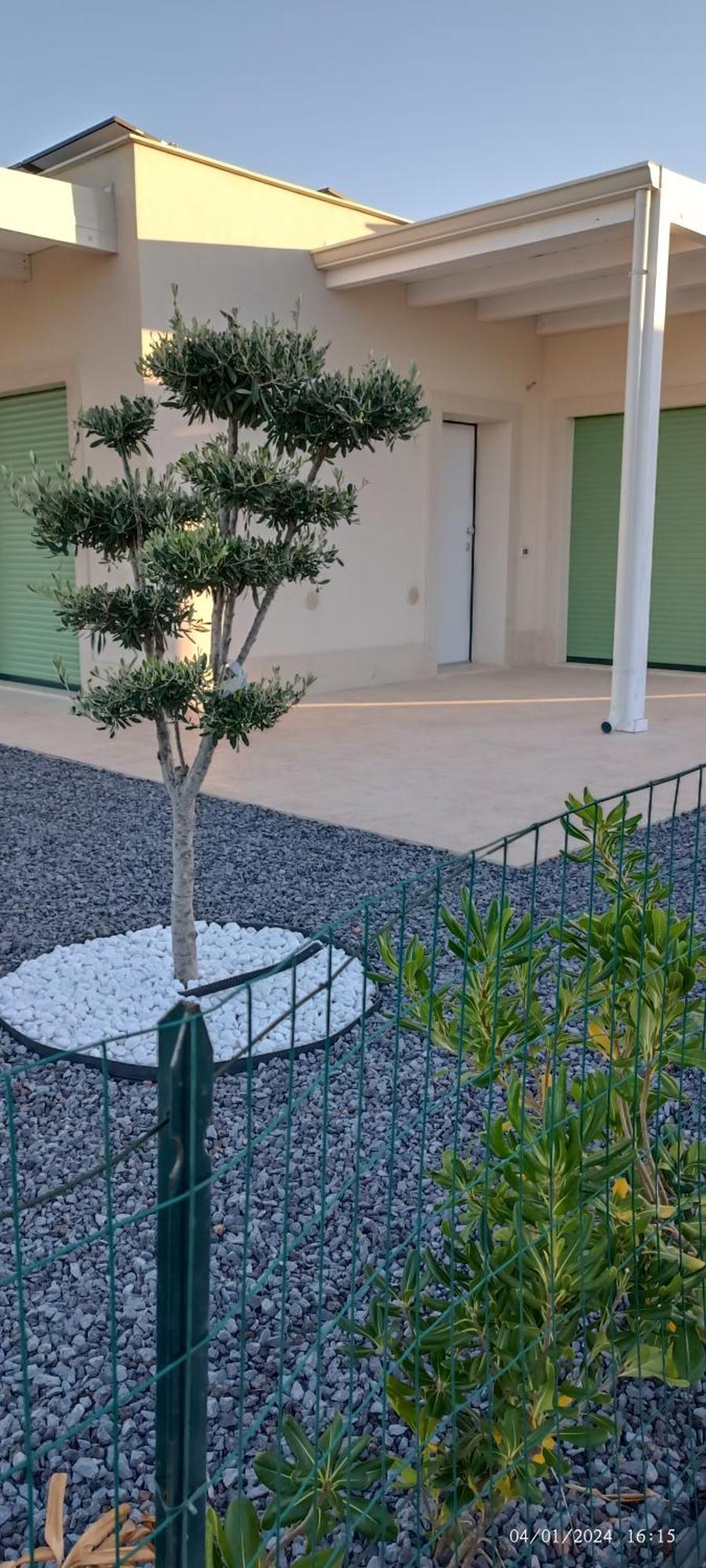 Casa Vacanze Pantakyas Brucoli Dış mekan fotoğraf